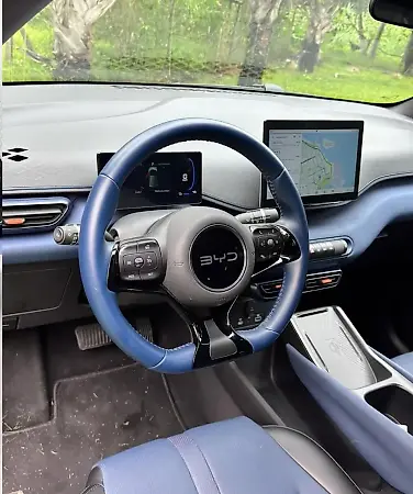 BYD Dolphin Mini - Imagem 7