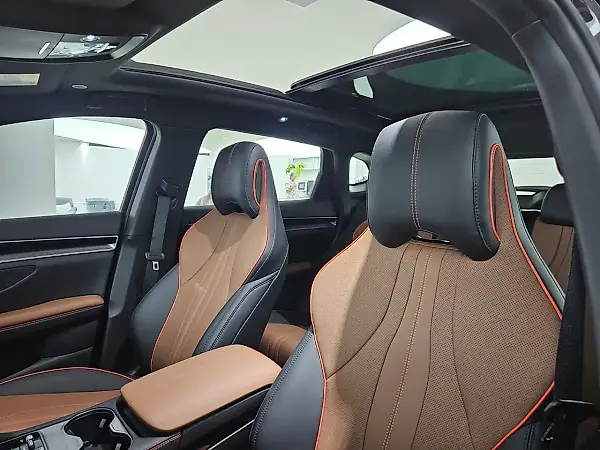 BYD Song Plus - Imagem 10