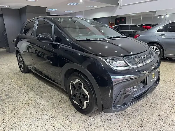 BYD Dolphin - Imagem 2