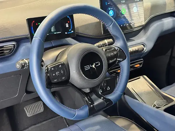 BYD Dolphin Mini - Imagem 18