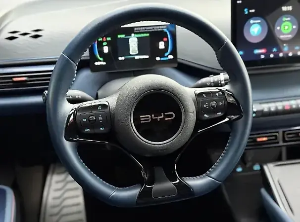 BYD Dolphin Mini - Imagem 16