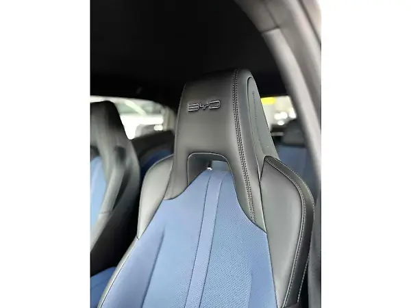 BYD Dolphin Mini - Imagem 10