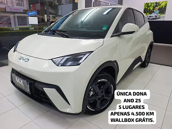 BYD Dolphin Mini - Imagem 1