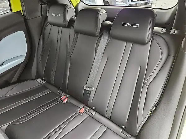 BYD Dolphin Mini - Imagem 12