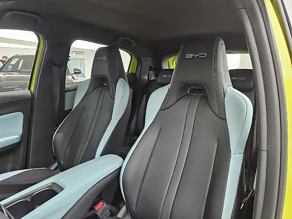 BYD Dolphin Mini - Imagem 11
