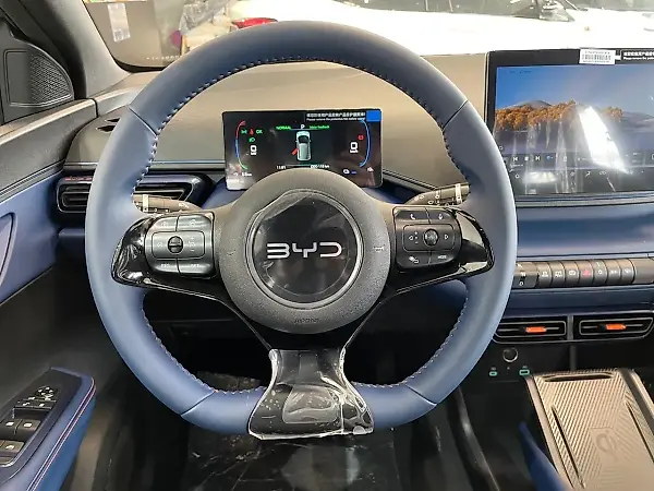BYD Dolphin Mini - Imagem 8