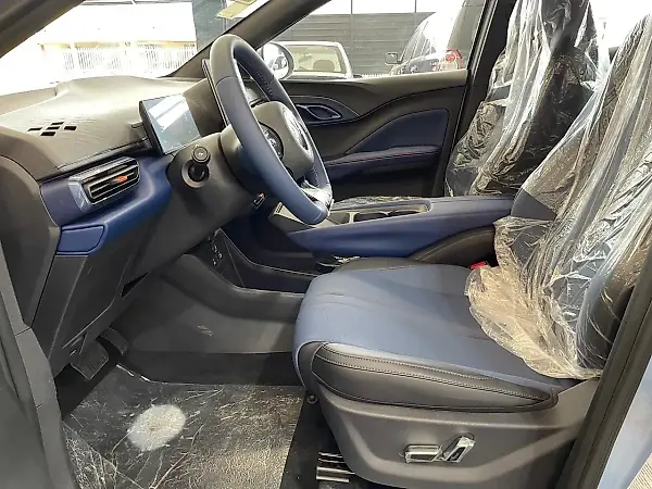 BYD Dolphin Mini - Imagem 20
