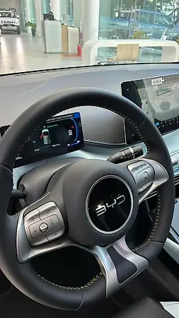 BYD Dolphin Mini - Imagem 7