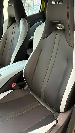 BYD Dolphin Mini - Imagem 6