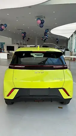 BYD Dolphin Mini - Imagem 14