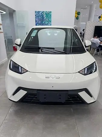 BYD Dolphin Mini - Imagem 2