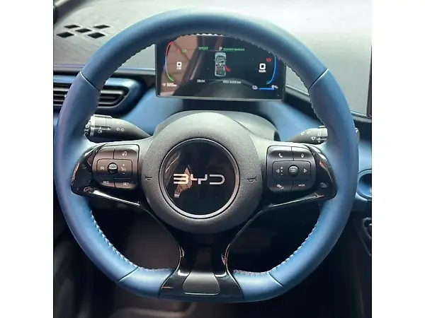 BYD Dolphin - Imagem 11