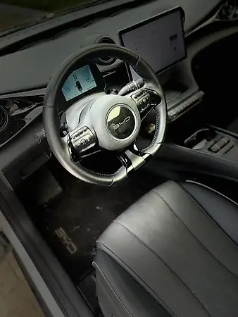 BYD Dolphin Plus - Imagem 13