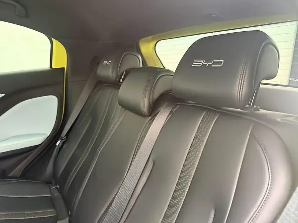 BYD Dolphin Mini - Imagem 19