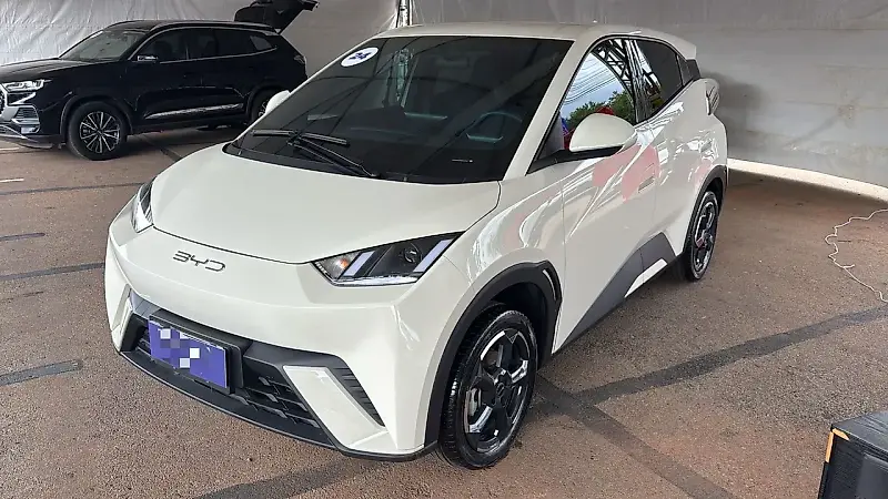 BYD Dolphin Mini - Imagem 1