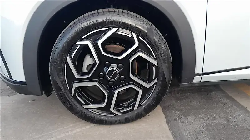 BYD Dolphin Plus - Imagem 20
