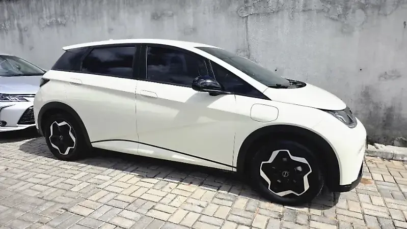 BYD Dolphin - Imagem 2