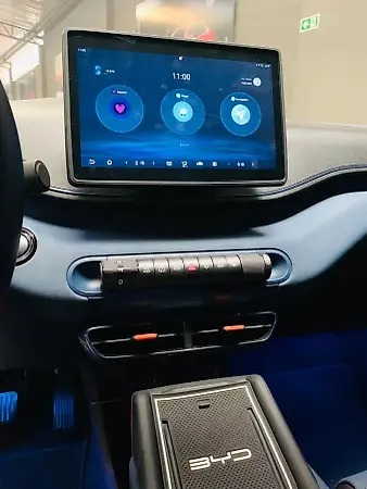 BYD Dolphin Mini - Imagem 8