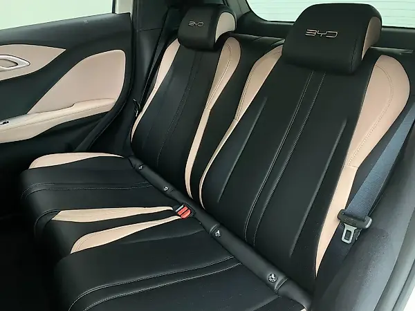 BYD Dolphin Mini - Imagem 9