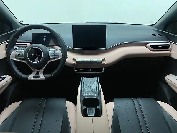BYD Dolphin Mini - Imagem 10