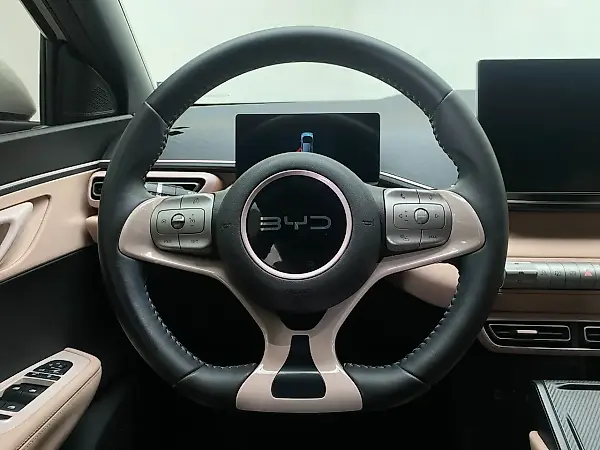 BYD Dolphin Mini - Imagem 12
