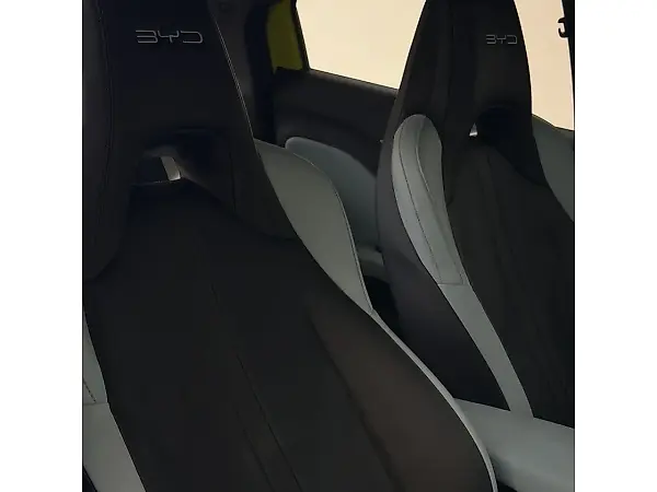 BYD Dolphin Mini - Imagem 12