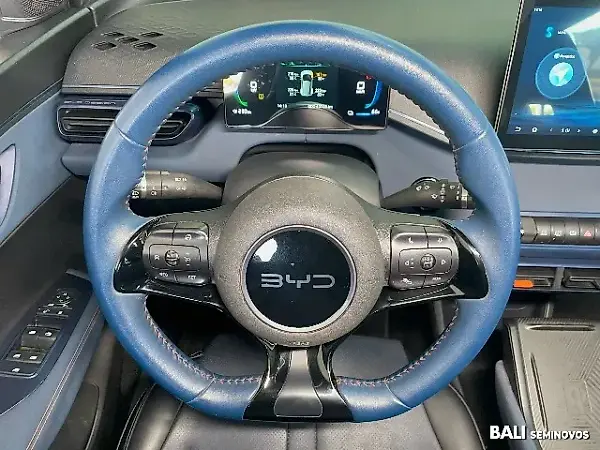 BYD Dolphin Mini - Imagem 12