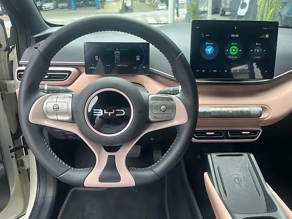 BYD Dolphin Mini - Imagem 13