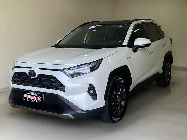 Toyota Rav4 EV - Imagem 1