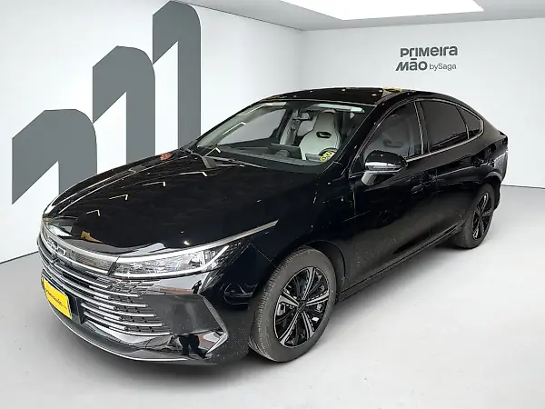 BYD King - Imagem 1