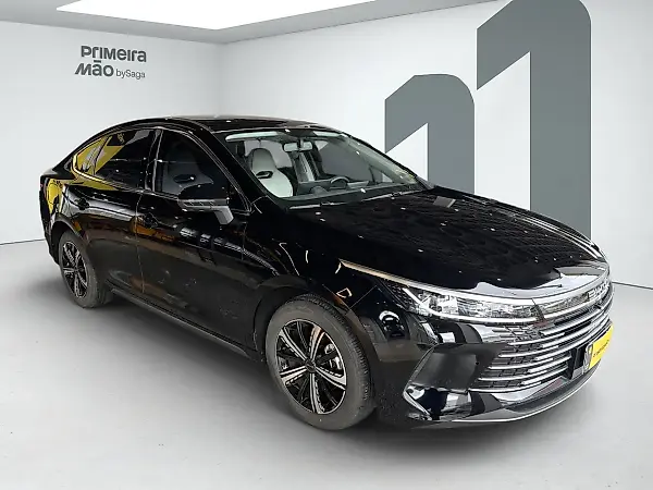 BYD King - Imagem 2