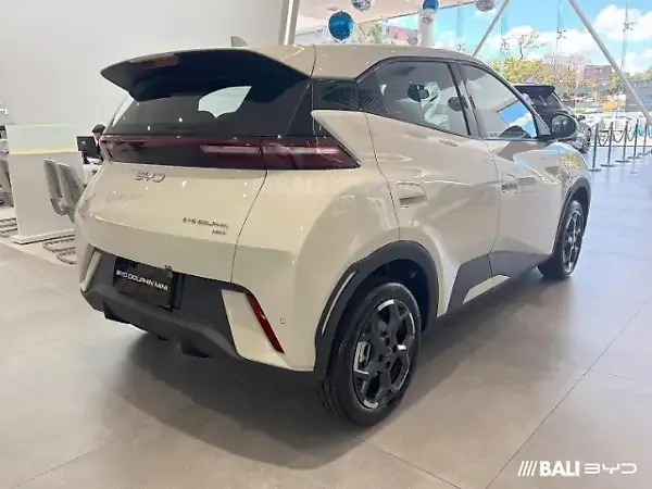 BYD Dolphin Mini - Imagem 1