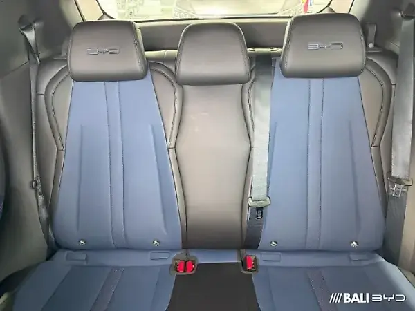 BYD Dolphin Mini - Imagem 6