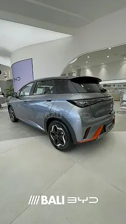 BYD Dolphin Mini - Imagem 1