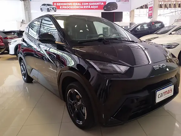 BYD Dolphin Mini - Imagem 3