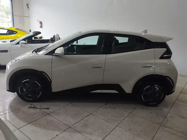 BYD Dolphin Mini - Imagem 6