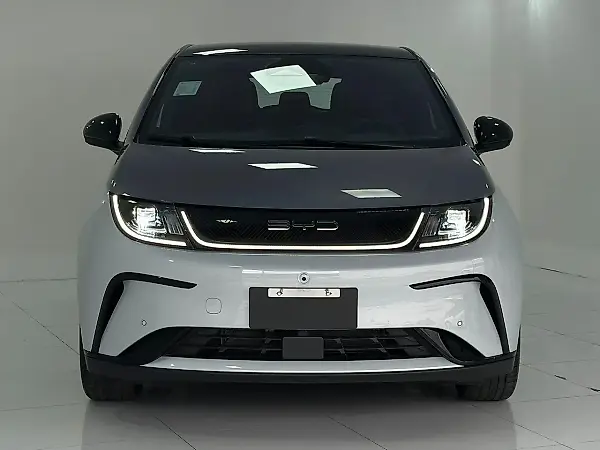 BYD Dolphin Plus - Imagem 3