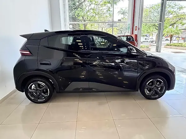 BYD Dolphin Mini - Imagem 20