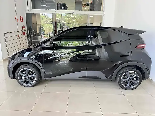 BYD Dolphin Mini - Imagem 19