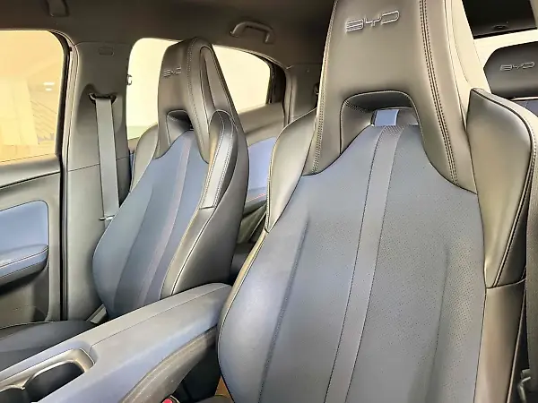 BYD Dolphin Mini - Imagem 15