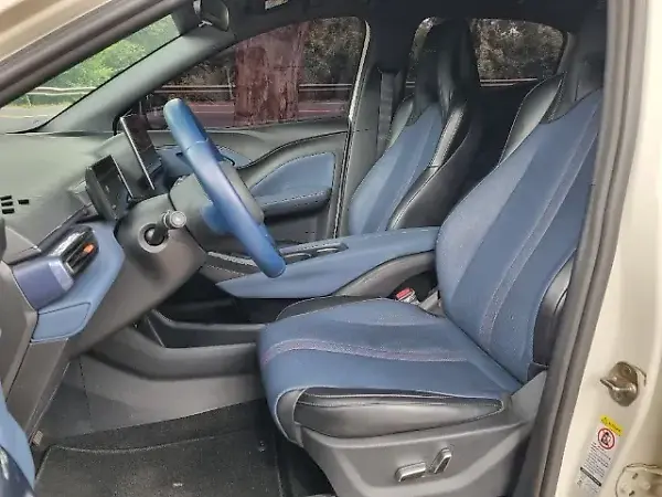 BYD Dolphin Mini - Imagem 10