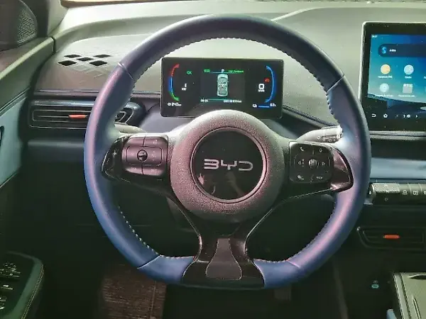 BYD Dolphin Mini - Imagem 16