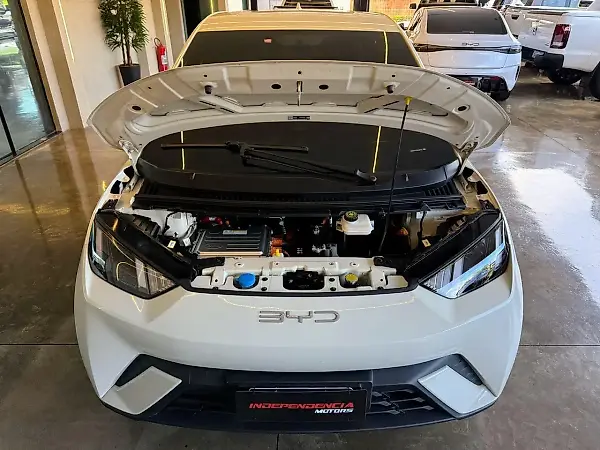 BYD Dolphin Mini - Imagem 6