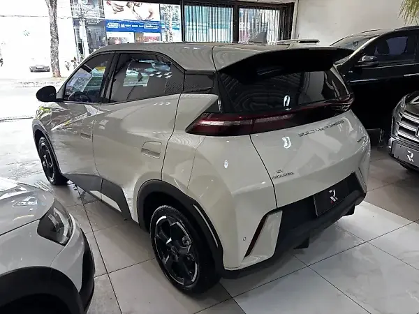 BYD Dolphin Mini - Imagem 6