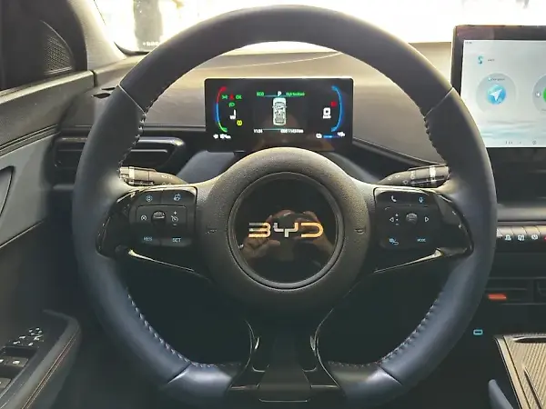 BYD Dolphin Mini - Imagem 11