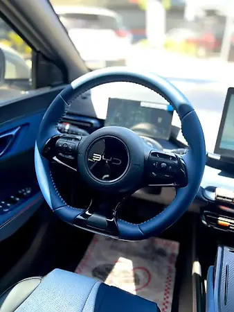BYD Dolphin Mini - Imagem 18
