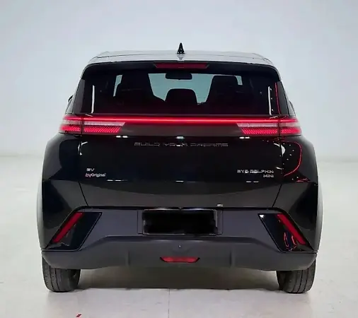 BYD Dolphin Mini - Imagem 3