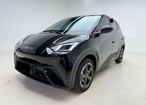 BYD Dolphin Mini - Imagem 1