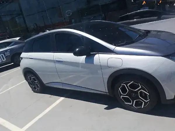 BYD Dolphin Plus - Imagem 6