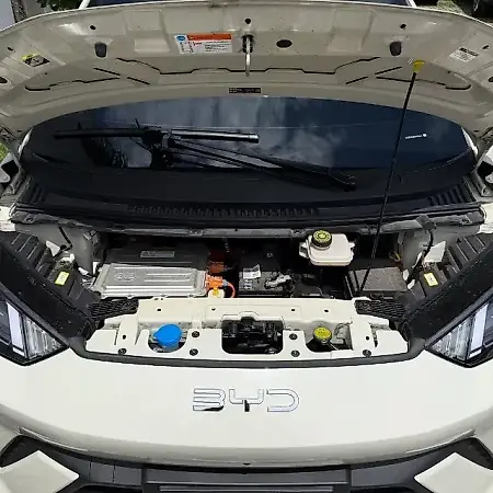BYD Dolphin Mini - Imagem 8